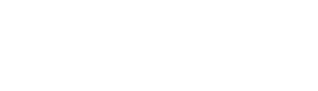 SkipStone